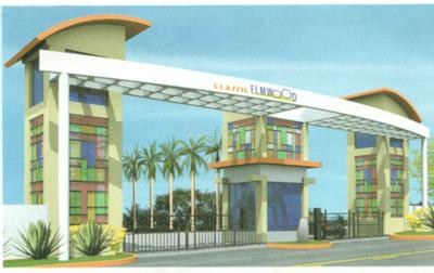 Classic Elmwood Phase II Images for Project 1