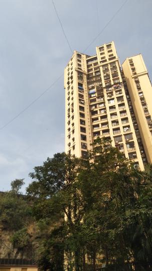 Gallery Cover Pic of  Meadows