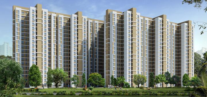 Gallery Cover Pic of Rainbow Ekanta