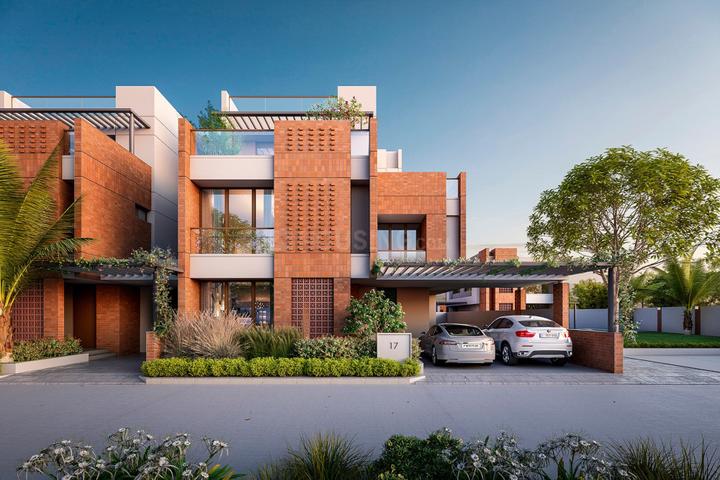 Gallery Cover Pic of Amethyst