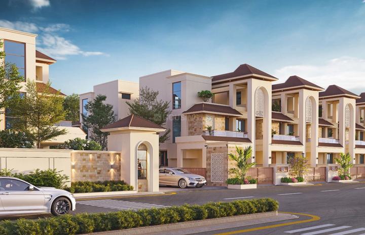 Gallery Cover Pic of Orchid 24