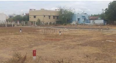 Gallery Cover Pic of Sri Kodi Avenue