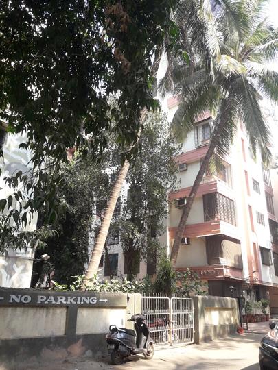 Silver Shine CHS More Images 1