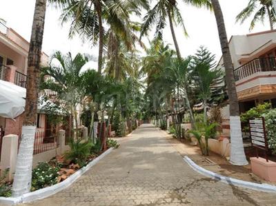 Gallery Cover Pic of Parsn Palm Legend