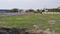 Gallery Cover Pic of Sumangali Garden