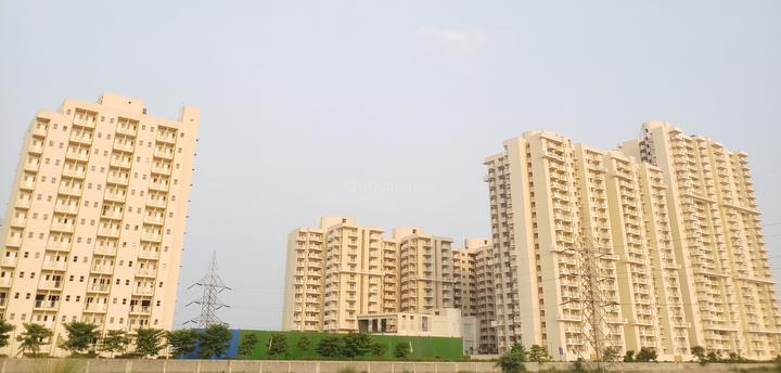 M3M Flora68 Main Image 1