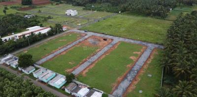 Nila Avenue Project Images