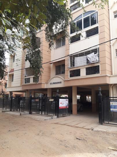 Gallery Cover Pic of SS Paradise