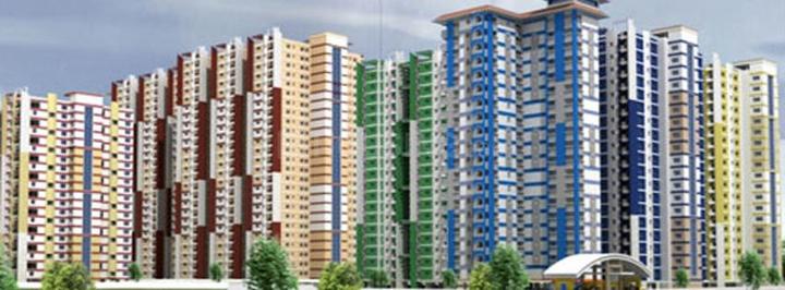 Power Welfare Society De Lite Elevation 1