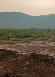Residential Lands for Sale in Pradhanyatha Red Sandal Farm