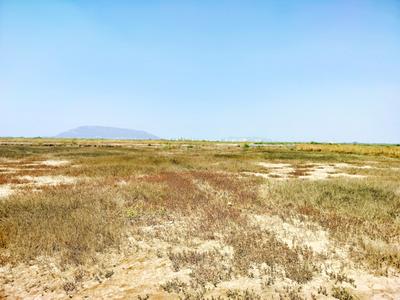 World Residential And Commercial Plots In Rajanpada