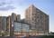 Gallery Cover Pic of Basil Maximus Wing D And E