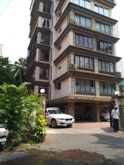 Silver View More Images 1