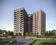Gallery Cover Pic of Kiva 261