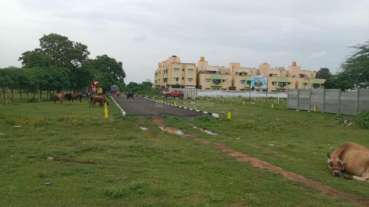 Gallery Cover Pic of Vamanan Platinum City