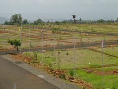 More Images 1