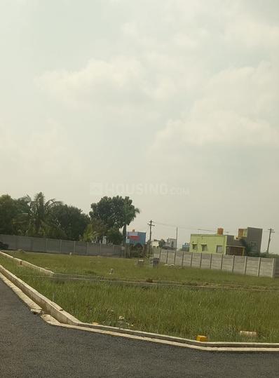 Gallery Cover Pic of Royal Temple City