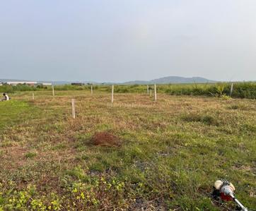Project Image of 1089 Sq.ft Residential Plot / Land for sale in Vindhane for Rs. 749000