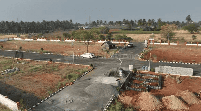 Star Avenue Main Image 1