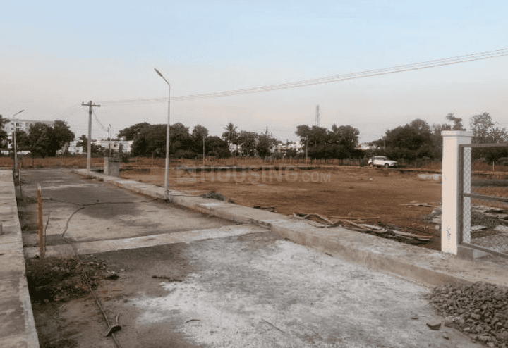 Gallery Cover Pic of Thamara Pride