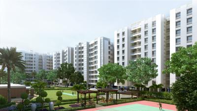 Gallery Cover Pic of Alembic Shangri La