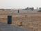 Gallery Cover Pic of Greens Sai Greens City Plot