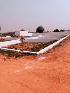 Virasat Royal Paradise City