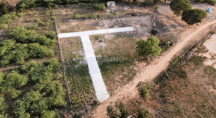 Mumtaj Garden Main Image 1