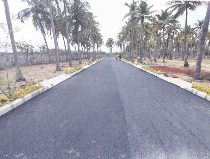 Sapphire Garden By Urban Tree Main Image 1