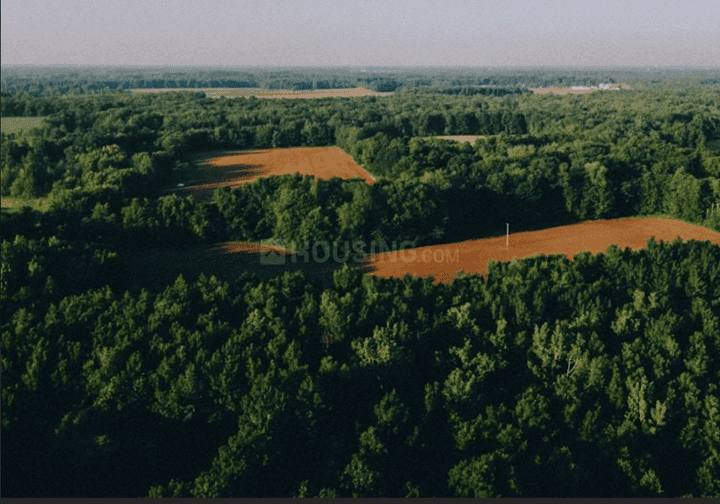 Gallery Cover Pic of Whispering Greens