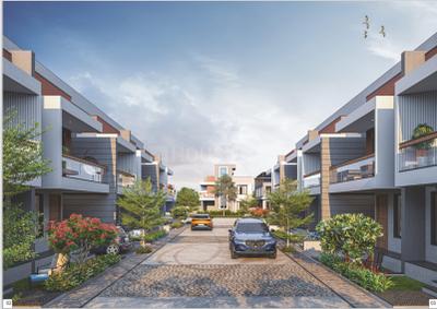 Sunrise Tulsipatra Orange Project Images