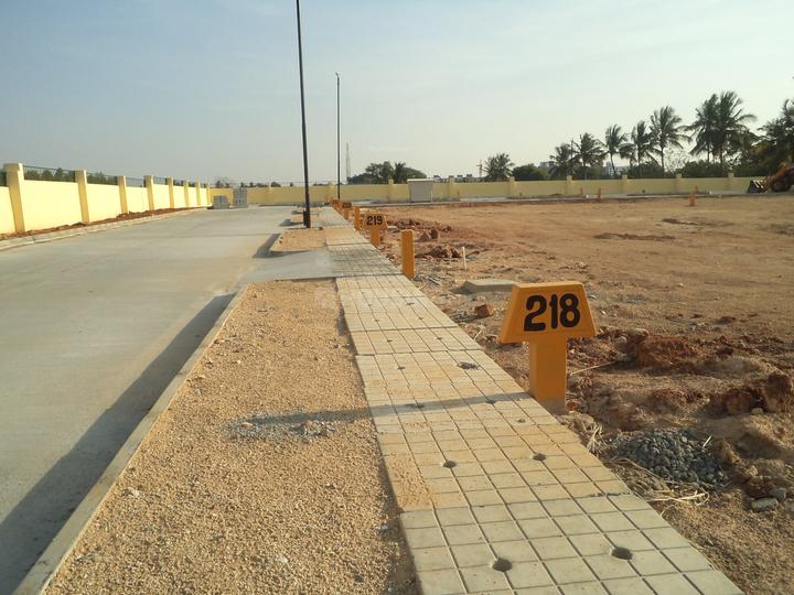 Gallery Cover Pic of Confident Aries