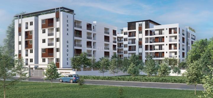 Gallery Cover Pic of Amaanee Terra Groves