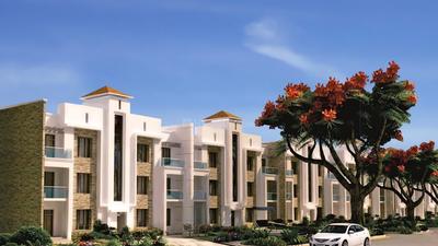 Gallery Cover Pic of Blue City Township and Colonizers Blue City Sky Suites Floors