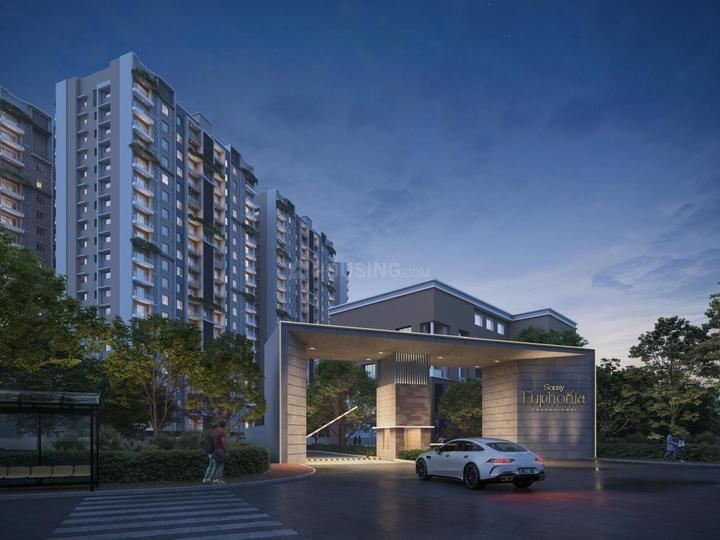 Gallery Cover Pic of Sonsy Euphonia