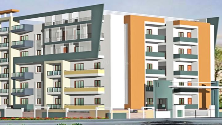 Gallery Cover Pic of Puja Daffodils