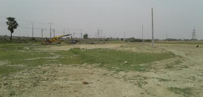 Dham More Images 2