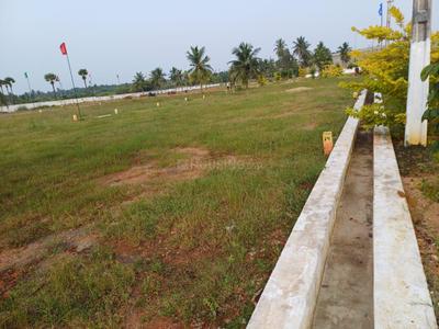 Project Image of 200 Sq.ft Residential Plot / Land for sale in Bhogapuram for Rs. 3300000