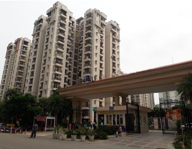 Gallery Cover Pic of Amrapali Princely Estate