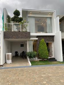 Brick And Land Garden And Skies