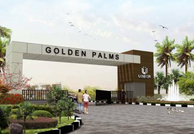 Ubber Golden Palms