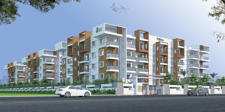 Gallery Cover Pic of Hilife Triflora