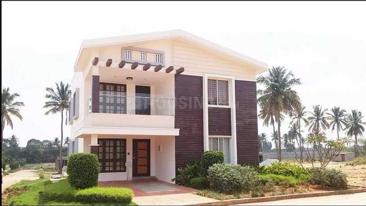 Gallery Cover Pic of Global Golden Pearls