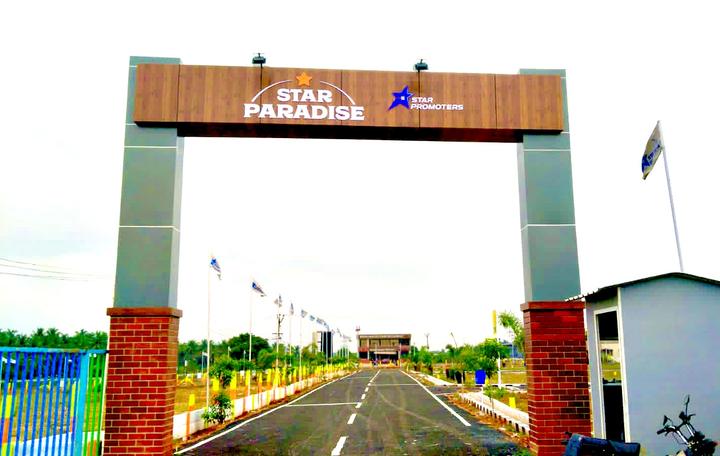 Gallery Cover Pic of Star Paradise