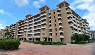 Wallfort Wood Project Images