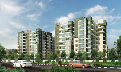 Mahaveer Oleander Project Images
