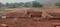 Gallery Cover Pic of Stargaze Plot In Pali