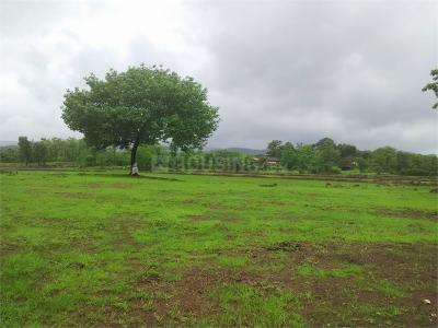 Residential Lands for Sale in Bhoomi Plots In Pali