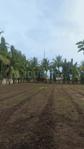 Residential Lands for Sale in Shiv Pujan