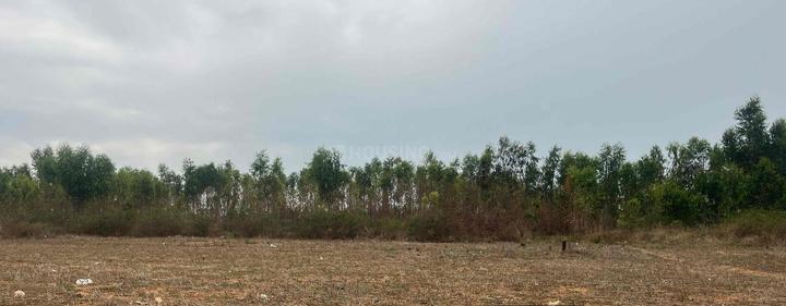 Gallery Cover Pic of R K Cortina